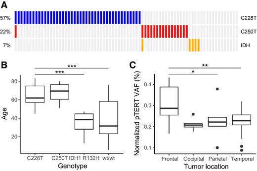 Figure 2. Molecular and clinical characteristics of glioblastoma cases. A, Mutual exclusivity of pTERT hotspot and IDH1 mutations in GBM. Percentages indicate the prevalence of the corresponding alteration in the GBM subset of the cohort (n = 76). B, Age differences in GBM patients with respect to pTERT and IDH1 genotype. C, Tumor purity with respect to neuroanatomical location. Cases with ambiguous clinical information regarding the affected lobe (e.g., parieto-occipital) were excluded. Boxplots show group median (thick lines), quartile range (boxes), 1.5× interquartile range (whiskers), and outlier samples (dots). Asterisks indicate significant group differences as determined by linear regression (*, P < 0.05; **, P < 0.01; ***, P < 0.001).