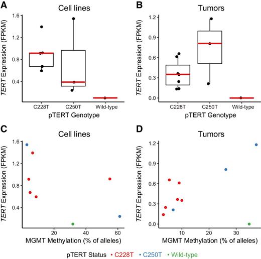 Figure 5. Telomerase expression with respect to pTERT genotype and MGMT methylation. TERT mRNA expression levels in a panel of matched GBM cell lines and parental tumors (Supplementary Table S1) as determined by RNA-seq (fragments per kilobase of exon per million reads, FPKM). A and B, Boxplots show expression levels for each pTERT genotype (group median indicated in red). C and D, Correlation between MGMT methylated allele frequency (%) and TERT expression. Pearson product–moment correlation coefficients were calculated for the subset of pTERT-mutant samples only.