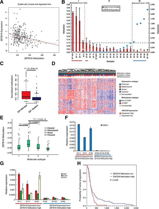 Figure 7. Methylation at the ZBTB18 promoter causes ZBTB18 repression in GBM. A, Linear regression of ZBTB18 expression on methylation status in n = 251 samples (P = 0.0000196). B, Methylation level of ZBTB18 in a series of glioma samples assessed by pyrosequencing (n = 3; error bars ± SD). ZBTB18 expression level measured by qRT-PCR is indicated by blue circles (high expression and low expression are indicated by dark blue and blue circles, respectively). Red line highlights the high methylation/low ZBTB18 expression samples, and blue line highlights the low methylation/high ZBTB18 expression samples. BTSC 145 (GBM-derived cell line) was analyzed instead of the corresponding BT 145 GBM sample which was no longer available. C, Association between ZBTB18 methylation and IDH1 mutation status. D, Cluster analysis of methylation profiles of the G-CIMP and non–G-CIMP GBMs using the 450/27 K BeadChip from TCGA. The association between expression of ZBTB18 and tumor subtypes (methylation or expression) is shown. ZBTB18 appears to be mostly expressed in G-CIMP GBMs. E, Association analysis between ZBTB18 promoter methylation and GBM subtypes. F and G, Representative experiment showing expression of mesenchymal targets in samples of brain tumors highlighted in A assessed by qRT-PCR (n = 3 PCR replicates; error bars ± SD). Red line, high methylation; blue line, low methylation. H, Kaplan–Meier estimates of time-to-tumor progression in 109 GBM patients from TCGA, with patients stratified according to low versus high (relative to the median) ZBTB18 methylation (log-rank P = 0.029).