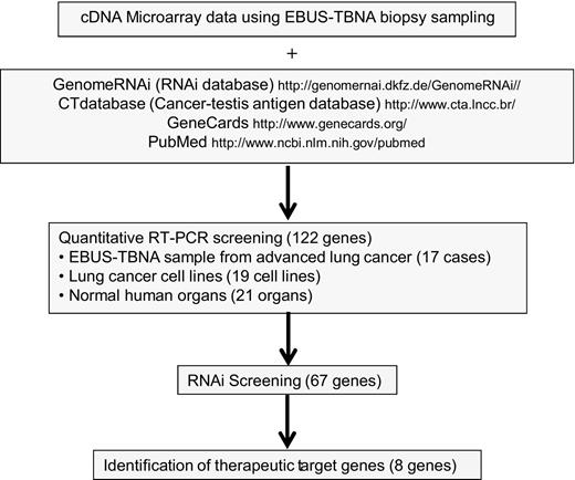 Figure 1. Screening of therapeutic candidate genes for lung cancer.
