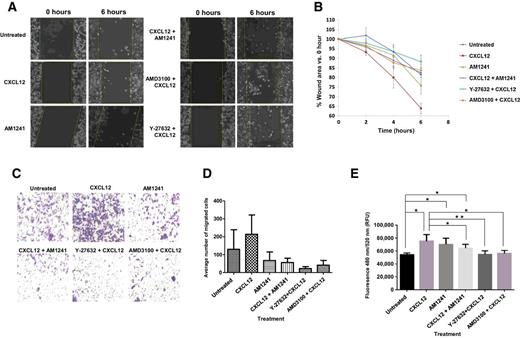 Figure 5. CXCR4/CB2 heterodimerization attenuates RhoA-dependent cell migration and wound closure. A and B, Serum-starved PC3 cells were pretreated for 1 hour with Y-27632 or AMD3100 followed by treatment with CXCL12 and/or AM1241 for up to 6 hours as described in Materials and Methods. ImageJ was used to measure the width of each wound at 0 and 6 hours. Experiments were performed thrice. *, P < 0.05; **, P < 0.001. C and D, 5 × 104 cells each were seeded into the top Transwell chamber and allowed to migrate toward combinations of agonists and chemical inhibitors in the bottom chamber for 6 hours at 37°C, 5% CO2. Five fields of each Transwell insert were randomly selected and counted for migrated cells at 10× magnification using a Zeiss Axiovert 200M light microscope, and results were analyzed via GraphPad Prism. Experiments were repeated thrice, and data represent the average of three independent experiments. D, A graphical representation of total migrated cells. Data represents the average of three independent experiments; *, P < 0.05; **, P < 0.001. E, HUVECs were seeded in the top chamber of Transwell inserts allowing for the formation of a confluent monolayer. Fluorescently labeled, serum-starved PC3 cells were added on top of HUVECs in the top chamber, and then, the combinations of agonists and chemical inhibitors were added to the bottom chambers followed by a 24-hour incubation. Fluorescent invasive cells were quantified at OD 480 nm/520 nm. Experiments were performed thrice (*, P < 0.05; **, P < 0.001).