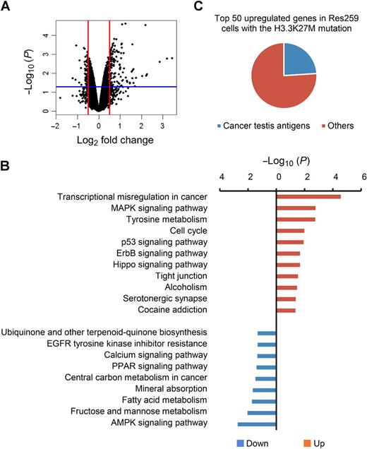 Figure 2. Impacts of H3.3K27M on gene expression in Res259 cells. A, Gene expression in Res259 cells was examined by HumanHT-12 v4 Expression BeadChip microarrays (Illumina). The volcano plot shows statistical significance (−log10 P value) plotted against log2 fold change of genes for Res259 cells harboring H3.3K27M against vector control cells. Differentially expressed genes (DEG) were selected by criteria of P < 0.05 (blue line) and absolute log2 fold change > 0.5 (red line). B, Kyoto Encyclopedia of Genes and Genomes (KEGG) pathway enrichment analysis of DEGs between Res259 cells harboring H3.3K27M and vector control cells. C, A pie chart indicates the percentage of CT antigens in the top 50 upregulated genes in Res259 cells carrying H3.3K27M as compared with vector control cells.