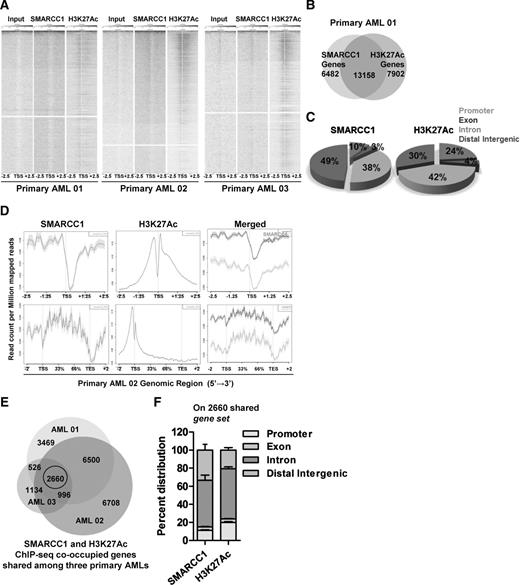 Figure 2. SMARCC1 (SWI/SNFΔ) occupies target oncogenic loci in primary AML cells. A, ChIP-seq (P < 0.05) heatmaps showing occupancy of SMARCC1 or H3K27Ac peaks 2.5 kb upstream or downstream from transcription start site (TSS) in primary AML (n = 3; AML 01, AML 02, and AML 03 as biological replicates) BMNCs. B, Representative ChIP-seq venn diagram analysis showing overlap of genes identified from SMARCC1, and H3K27Ac in primary AML (AML 01) BMNC. Number of cooccupied genes (13,158) is shown in the intersection. C, Pie chart representing ChIP-seq genomic distribution of SMARCC1 (left) and H3K27Ac (right) occupancy in primary AML BMNCs. Data represent average of three biological replicates of AMLs. D, ChIP-seq profile plots showing SMARCC1, H3K27Ac ChIP-seq signal intensities 2.5 kb upstream or downstream from transcription start site (TSS; upper) or 2 kb upstream or downstream form TSS and transcription end site (TES; lower) in primary AML (AML 02) BMNC. E, Venn diagram analysis showing SMARCC1 and H3K27Ac ChIP-seq cooccupied genes that are shared (2660) among the three biological replicates of AML BMNCs. F, ChIP-seq average genomic distribution of SMARCC1 and H3K27Ac on the shared (2,660) gene set in AML. PCR duplicates were removed using SAMTOOLS rmdup. Peak calling was performed using MACS14 model building with P value cutoff of 0.05. Annotation of the identified peaks was performed with PeakAnalyzer. Unique gene names were used to plot the Venn diagram represented by peaks in the respective samples either upstream or downstream or overlap to the genetic region. Error bars, means ± SEM.
