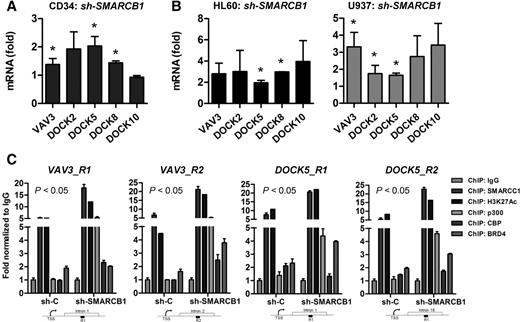 Figure 5. SMARCB1 deficiency induces GEFs expression by promoting H3K27Ac at target loci. A, qRT-PCR expression of GEFs in normal CD34+ cells transduced with sh-SMARCB1 or sh-Control (considered as 1-fold). B, RT-qPCR expression of GEFs in AML cell lines expressing sh-SMARCB1 compared with sh-Control (considered as 1-fold). C, ChIP-qPCR analysis showing occupancy of SMARCC1, H3K27Ac, p300, CBP, and BRD4 on target GEFs loci (Regions R1 and R2) in 293T cells that were transiently transfected with sh-SMARCB1 or sh-Control. ChIP-qPCR values were normalized to IgG. Location of the respective ChIP-qPCR primers are shown in the schema. qRT-PCR experiments are representatives of atleast two independent biological replicates with similar results. qRT-PCR values were normalized to GAPDH. Statistics were calculated with Student t test; error bars, means ± SD. *, P < 0.05 was considered to be statistically significant.