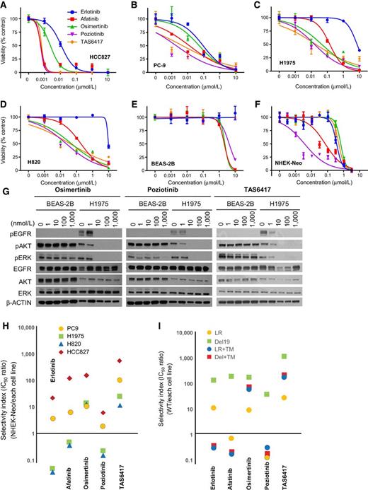 Figure 1. TAS6417 inhibits cell proliferation and EGFR signaling in NSCLC cell lines harboring EGFR common mutations in the presence or absence of T790M. A–F, Dose inhibition curves and SDs of three independent experiments for erlotinib (blue), afatinib (red), osimertinib (green), poziotinib (purple), and TAS6417 (orange) in HCC827 (A), PC-9 (B), H1975 (C), H820 (D), BEAS-2B (E), and NHEK-Neo (F) cells. G, Western blot analysis showing the effects of increasing concentration of osimertinib, poziotinib, and TAS6417 in BEAS-2B and H1975 cells. H, Selectivity indexes showing mutation selectivity calculated as ratios of the IC50 values of NHEK-Neo to those of each cell line. I, Selectivity indexes calculated as ratios of the IC50 values Ba/F3 expressing WT EGFR to those of Ba/F3 cells expressing each mutant EGFR.