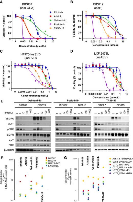 Figure 3. TAS6417 is more selective for EGFR exon 20 insertion mutations than other EGFR TKIs. A–D, Dose inhibition curves and SDs of three independent experiments for erlotinib (blue), afatinib (red), osimertinib (green), poziotinib (purple), and TAS6417 (orange) in BID007 (A), BID019 (B), H1975-InsSVD (C), and LXF2478L cells (D). E, Western blot analysis showing the effects of increasing concentration of osimertinib, poziotinib, and TAS6417 in BID007 and BID019 cells. F, Selectivity indexes showing mutation selectivity calculated as ratios of the IC50 values of NHEK-Neo to those of each cell line. G, Selectivity indexes calculated as ratios of the IC50 values Ba/F3 expressing WT EGFR to those of Ba/F3 cells expressing each ins20-mutant EGFR.