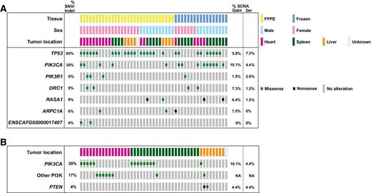 Figure 1. Per-sample annotation of metadata. A, Somatic mutations in the seven significantly mutated genes. B, Somatic mutations in the PI3K gene family by tumor location. “Other PI3K” category includes mutations in PIK3CB, PIK3C2G, PIK3C3, PIK3R1, and PIK3R5). SNV, single-nucleotide variant; Indel, insertion/deletion; SCNA, somatic copy number aberration. SCNA frequencies are calculated on the basis of oaCGH data from 69 canine hemangiosarcoma samples.