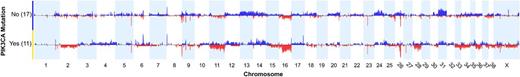 Figure 4. Comparison of DNA copy number aberration profiles between cases with PIK3CA mutation and those without. Blue, copy number gain; red, copy number loss. (Thomas and colleagues, manuscript in preparation; ref. 34)