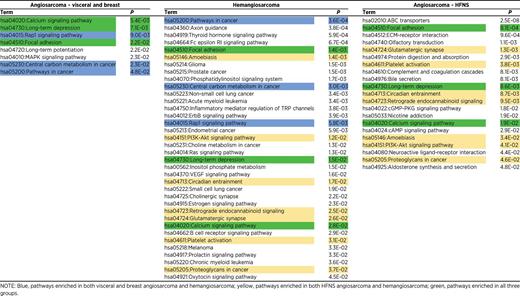 KEGG pathways enriched in hemangiosarcoma, visceral and breast angiosarcoma, and HFNS angiosarcoma