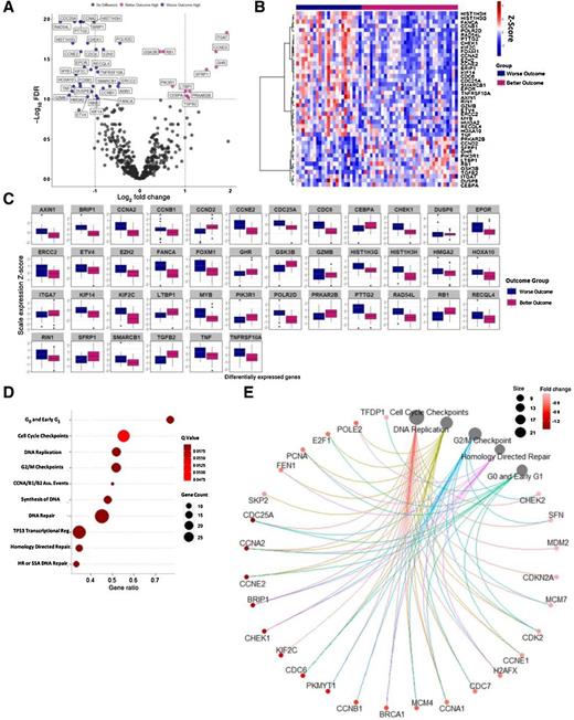 Figure 2. Results of the differential expression analysis between the outcome groups. The gene expressions of the better and worse outcome groups were compared. A, Genes differentially expressed at an FDR < 0.1 level are indicated in the volcano plot. 42 genes were differentially expressed in the worse outcome group (blue) and 11 in the better outcome group (pink). B, Heatmap of the differentially expressed genes between the two outcome groups. C, Detailed relative levels of each differentially expressed gene. D, Gene Set Enrichment Analysis results. Each pathway is indicated along the y axis, and the gene ratio, which is the number of enriched genes present in our dataset divided by the size of the pathway of interest. E, Cluster network plot showing group membership of the core enriched genes from the GSEA.