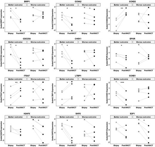 Figure 3. NACT outcome groups comparisons with chemotherapy-naïve samples and paired biopsies. Comparisons of biopsy and Post-NACT sample gene expression. Comparisons were run only for genes previously identified in the GSEA and differential expression analysis. Sample pairs are connected by a line. For each instance, a paired t test was used to evaluate the statistical significance. (ns: P > 0.05; *, P < 0.05; **, P < 0.005; ***, P < 0.0005).
