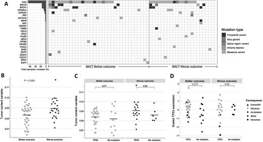 Figure 4. Mutational analysis of NACT-treated tumor samples. A, Mutational landscape of the two patient groups. B, Comparisons of the tumor content values between the outcome groups. C, Tumor content value comparisons between TP53-mutated samples and TP53-WT samples. D, comparisons of TP53 gene expression between mutated and WT samples. In all instances where comparisons were necessary, the Wilcoxon test was used.