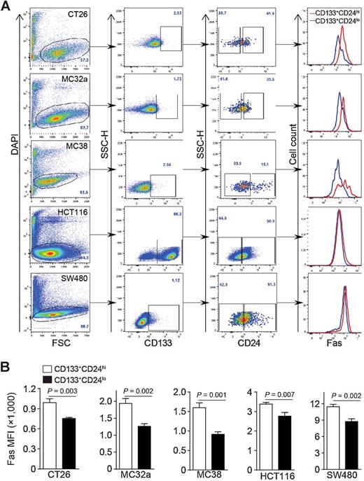 Figure 1. Decreased Fas expression is linked to a CD133+CD24lo colon CSC-like cell phenotype in vitro. A, Murine (CT26, MC32a, and MC38) and human (HCT116 and SW480) colon carcinoma cells were stained with DAPI, and with CD133-, CD24-, and Fas-specific mAbs, respectively. The DAPI− live cells were gated and analyzed for CD133+CD24lo and CD133+CD24hi subsets of cells. Fas expression levels (MFI) of CD133+CD24lo and CD133+CD24hi cells were then determined and shown as overlays at the right panel. Shown are gating strategy and representative plots of one of three experiments. B, Fas MFI of CD133+CD24lo and CD133+CD24hi cells as shown in A were quantified and presented. Column, mean; bar, SD. Statistical differences were determined by Student t test.