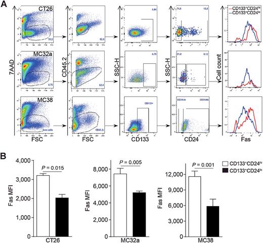 Figure 2. Decreased Fas expression level is correlated with the CD133+CD24lo colon CSC–like cell phenotype in vivo. A, Murine (CT26, MC32a, and MC38) colon carcinoma cells were injected subcutaneously to BALB/c (CT26) and C57BL/6 (MC32a and MC38) mice, respectively. Tumors were dissected from the tumor-bearing mice and digested with collagenase solution to prepare single cell mixtures. The cell mixtures were stained with 7AAD, and with CD45.2-, CD133-, CD24-, and Fas-specific mAbs, respectively. The 7AAD− live cells and CD45.2− tumor cells were then gated out and analyzed for CD133+CD24lo and CD133+CD24hi subsets of cells. Fas expression levels (MFI) of CD133+CD24lo and CD133+CD24hi cells were then determined and shown as overlays at the right. Shown are gating strategy and representative plots of one of three experiments. B, Fas MFI of CD133+CD24lo and CD133+CD24hi cells as shown in A were quantified and presented. Column, mean; bar, SD. Statistical differences were determined by Student t test.