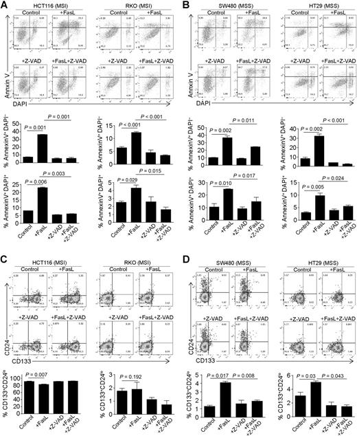 Figure 5. FasL treatment increases CSC-like cells in MSS colon cancer cells. A and B, MSI (HCT116 and RKO; A) and MSS (SW480 and HT29; B) human colon carcinoma cell lines were cultured in the presence of FasL (50 ng/mL), Z-VAD (20 μmol/L), or both FasL and Z-VAD for 24 hours. Cells were then stained with PI and annexin V. Top panel shows representative flow cytometry dot plots. Apoptosis (Annexin V+PI−) and apoptotic cell death (Annexin+PI+) were quantified and presented at the bottom panel. Column, mean; bar, SD. Data are representative result of one of two independent experiments. C and D, The MSI and MSS human colon carcinoma cell lines were treated as in A and B and then stained with CD133- and CD24-specific mAbs and analyzed by flow cytometry. CD133+CD24lo cells were quantified. Top, representative flow cytometric dot plots. CD133+CD24lo cells were quantified and presented at the bottom.