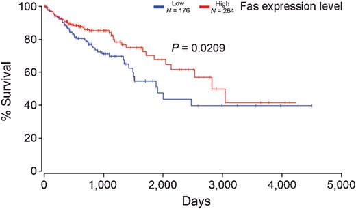 Figure 7. Decreased Fas expression is correlated with decreased survival in patients with human colorectal cancer. Fas mRNA levels were extracted from the TCGA database and plotted against survival in human patients with colorectal cancer.