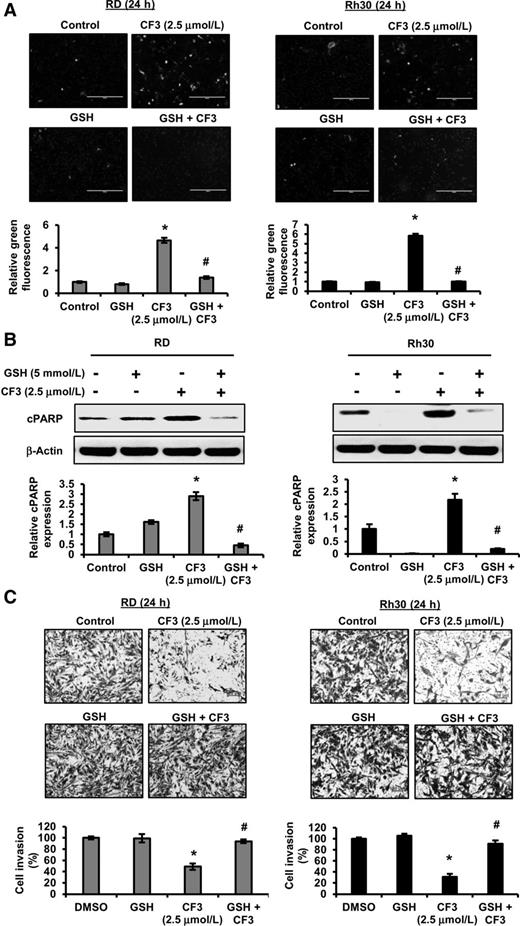 Figure 2. ROS-dependent induction of apoptosis and inhibition of invasion by CF3DODA-Me. A, RD and Rh30 cells were pretreated with 5 mmol/L GSH for 3 hours and then treated with vehicle, 2.5 μmol/L of CF3DODA-Me alone, or in combination with 5 mmol/L GSH for 24 hours, and Annexin V staining was determined and quantitated by fluorescence microscopy. B, RD and Rh30 cells were treated as indicated in A, and whole lysates were analyzed for cleaved PARP by Western blots, and β-actin was used a loading control. The signals were quantitated by ImageJ software. C, RD and Rh30 cells were treated as indicated in A, and cell invasion was analyzed and quantitated by using Corning BioCoat Matrigel Invasion Chamber. Data represent three independent experiments and expressed as mean ± SE, and significant (P < 0.05) induction of apoptosis or inhibition of invasion (*) or reversal by GSH (#) is indicated.