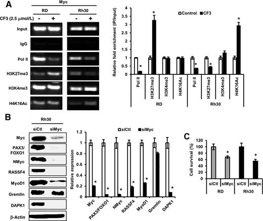 Figure 5. CF3DODA-Me epigenetically regulates Myc levels. A, RD and Rh30 cells were treated with 2.5 μmol/L CF3DODA-Me for 3 hours and ChIP assays were performed with control (IgG), polymerase II, H3K27me3, H3K4me3 and H4K16Ac antibodies used to detect their interactions on the Myc promoter region. B, Rh30 cells were transfected as in Fig. 4D, and whole lysates were analyzed in Western blots for Myc-regulated proteins. β-Actin was used as a loading control. C, RD and Rh30 cells were transfected with siMyc for 72 hours, and cell survival was determined by cell counting. The signals were quantitated by ImageJ software. Data represent three independent experiments and expressed as mean ± SE, and significant (P < 0.05) induction or suppression of target genes and cell growth (*) or reversal by GSH (#) is indicated.