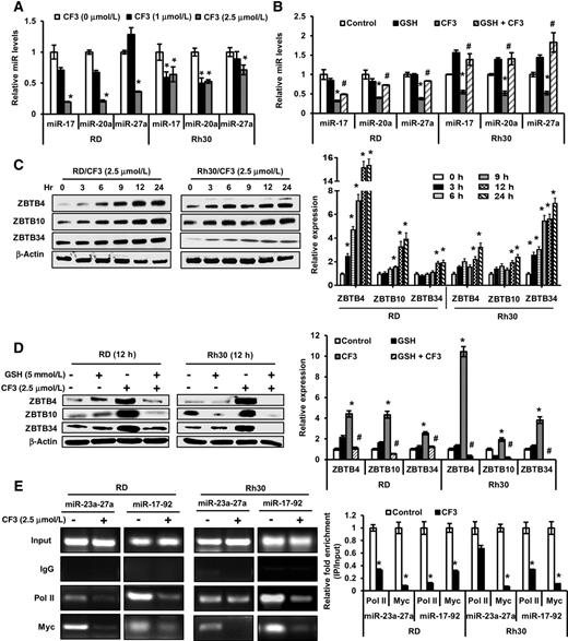 Figure 6. CF3DODA-Me modifies miRNA–ZBTB interactions. A, RD and Rh30 cells were treated with 0, 1 and 2.5 μmol/L of CF3DODA-Me for 6 hours. B, RD and Rh30 cells were pretreated with 5 mmol/L of GSH for 3 hours and then treated with 2.5 μmol/L CF3DODA-Me alone, or in combination with GSH for 6 hours, and total RNA was extracted and expression of miR-17, miR-20a, and miR-27a was determined by real-time PCR. RNU6 was used as endogenous control. C, RD and Rh30 cells were treated with 2.5 μmol/L of CF3DODA-Me for the indicated times, and ZBTB4, ZBTB10, and ZBTB34 proteins were analyzed by Western blots. D, Cells were treated with DMSO (control), CF3DODA-Me and 5 mmol/L GSH alone and in combination for 12 hours, and whole-cell lysates were analyzed by Western blots. β-Actin was used as a loading control. E, RD and Rh30 cells were treated with 2.5 μmol/L of CF3DODA-Me for 3 hours, and a ChIP assay was performed with control (IgG), polymerase II, and Myc antibodies to determine their interactions on the miR-23a/27a and miR-17/92 cluster promoter regions. The signals were quantitated by ImageJ software. Results shown are expressed as mean ± SE for replicate determinants, and significant (P < 0.05) changes by CF3DODA-Me (*) or reversal by GSH (#) is indicated.
