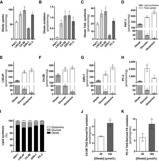 Figure 2. Comparison of substrate metabolism in a range of prostate cancer cells. 14C-oleate uptake (A), oxidation (B), and incorporation into TAG in PNT1, LNCaP, C4-2B, 22Rv1, and PC-3 cells (three independent experiments performed in duplicate; C). D–H, Absolute rates of 14C-labeled substrate incorporation into intracellular lipids (lipid synthesis) and total uptake (sum of media 14CO2, 14C activity in both the aqueous and organic phases of a Folch extraction) of various substrates in PNT-1 (D), LNCaP (E), C4-2B (F), 22Rv1 (G), and PC-3 cells (H), and percent contribution of substrates to lipid synthesis in all cell lines in the basal state (three independent experiments performed in duplicate; I). Total lipid synthesis was defined as the sum of the gray bars in panels D–H. Oxidation of TAG-derived 14C-oleate in C4-2B (J) and PC-3 cells (K) following overnight incubation in either low (20 or 80 μmol/L oleate, respectively) or high (150 or 300 μmol/L oleate, respectively; three independent experiments performed in triplicate). Data are presented as mean ± SEM. *, P ≤ 0.05 versus PNT1 by one-way ANOVA followed by Dunnett multiple comparisons test (A–C), *, P ≤ 0.05 versus oleate by two-way ANOVA followed by Tukey multiple comparisons test (D–H). J and K, *, P ≤ 0.05 versus 20 or 80 μmol/L, respectively, by Student t test.