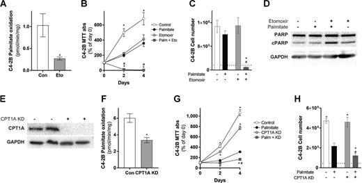 Figure 5. Inhibition of FA oxidation in C4-2B cells results in sensitization to palmitate-induced apoptosis. A, 14C-palmitate oxidation in C4-2B cells that were treated with or without 100 μmol/L Etomoxir (Eto; three independent experiments performed in triplicate). MTT assays (B) and cell number (C) of C4-2B cells incubated in FCS-containing media supplemented with 250 μmol/L palmitate (Palm), etomoxir (Eto), or a combination for 4 days. MTT results are presented as percentages of MTT absorbance at indicated time points relative to that at day 0 for each group. The dashed line represents the number of cells present at day 0 (MTT: four independent experiments performed in quadruplicate; Cell count: three independent experiments performed in duplicate). D, Representative immunoblots of cPARP levels of C4-2B cells incubated in FCS-containing media supplemented with 250 μmol/L palmitate, etomoxir or a combination for 1 days (representative of three independent experiments performed in triplicate). E, Representative immunoblots of CPT1A of C4-2B cells treated with control or CPT1A siRNA for 2 days (representative of three independent experiments performed in triplicate). F, 14C-palmitate oxidation in C4-2B cells treated with or without CPT1A siRNA for 4 days (three independent experiments performed in triplicate). MTT assays (G) and cell number (H) of C4-2B cells treated with control or CPT1A siRNA for 2 days then incubated in FCS-containing media with or without supplementation with 250 μmol/L palmitate for 4 days. MTT results are presented as percentages of MTT absorbance at indicated time points relative to that at day 0 for each group. The dashed line represents the number of cells present at day 0 (MTT, four independent experiments performed in quadruplicate; cell count, three independent experiments performed in duplicate). Data are presented as mean ± SEM. A, *, P ≤ 0.05 versus control by unpaired Student t test. B and C, *, P ≤ 0.05 versus palmitate; #, P ≤ 0.05 versus etomoxir by two-way ANOVA followed by Tukey multiple comparisons test. F, *, P ≤ 0.05 versus control by unpaired Student t test. G and H, *, P ≤ 0.05 versus palmitate; #, P ≤ 0.05 versus CPT1A KD by two-way ANOVA followed by Tukey multiple comparisons test.