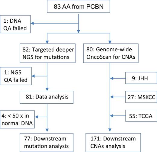 Figure 1. The number and criteria for inclusion/exclusion of AA/black patients in the study. AA, African American; JHH, Johns Hopkins Hospital; MSKCC, Memorial Sloan Kettering Cancer Center; PCBN, Prostate Cancer Biorepository Network; QA, quality assurance.