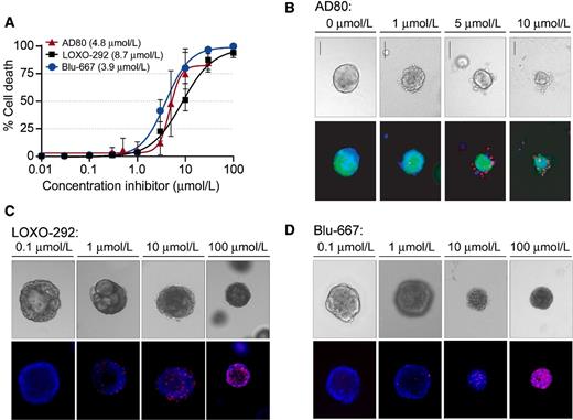 Figure 5. Organoid NEPC models are sensitive to treatment with multiple RET inhibitors. A, A dose–response curve of Pten−/− and Rb−/− prostate specific double knockout (DKO) organoids treated with increasing concentrations of AD80, LOXO-292, and BLU-667. Viability was measured by staining for dead cells. Circles represent mean and error bars ± SD. B, Bright field images and corresponding fluorescence images of GFP-labeled DKO organoids treated with the indicated concentrations of AD80. Blue, DAPI staining of nuclei; red, propidium iodide staining of dead cells. Scale bar, 100 μm. Representative brightfield and fluorescent images of LOXO-292 (C) and BLU-667 (D) DKO organoids treated with the indicated concentrations of drugs stained as described with the GFP channel omitted.