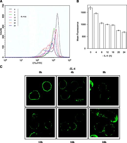 FIGURE 1. Effect of IL-4 deprivation on rafts staining. A. Cells were IL-4 stimulated or deprived for different times, stained with the rafts marker cholera toxin-FITC (CTx-FITC), which recognizes the ganglioside GM1, and analyzed by flow cytometry. Different lymphokine deprivation times are overlapped. Similar results of three independent experiments. B. Fluorescence of each analyzed sample. Columns, mean (n = 3); bars, SD. C. IL-4-stimulated or IL-4-deprived cells for different times were stained with cholera toxin-FITC and analyzed by confocal microscopy. Similar results of three independent experiments.