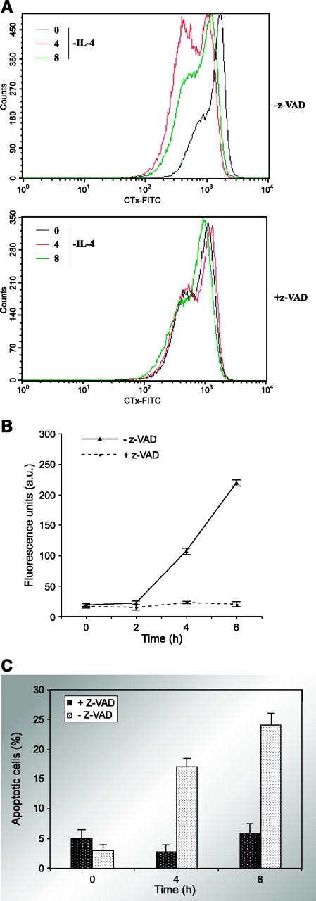 FIGURE 5. Effect of caspase inhibition on rafts staining and apoptosis. A. Cells were IL-4 stimulated or deprived for different times in the presence or absence of the caspase inhibitor z-VAD-fmk. Cells were stained with the rafts marker cholera toxin-FITC and analyzed by flow cytometry. Results obtained from different times are overlapped. Mean fluorescence of each analyzed sample. Similar results of three independent experiments. B. TS1αβ cells were deprived of IL-4 for different times in the presence or absence of the caspase inhibitor z-VAD-fmk. Caspase-9 activity was determined in cytosolic extracts as fluorescence emission of the cleaved substrate. C. Cells were treated as in B, washed, stained with Annexin and propidium iodide, and then analyzed by flow cytometry. Columns, mean (n = 3); bars, SD.