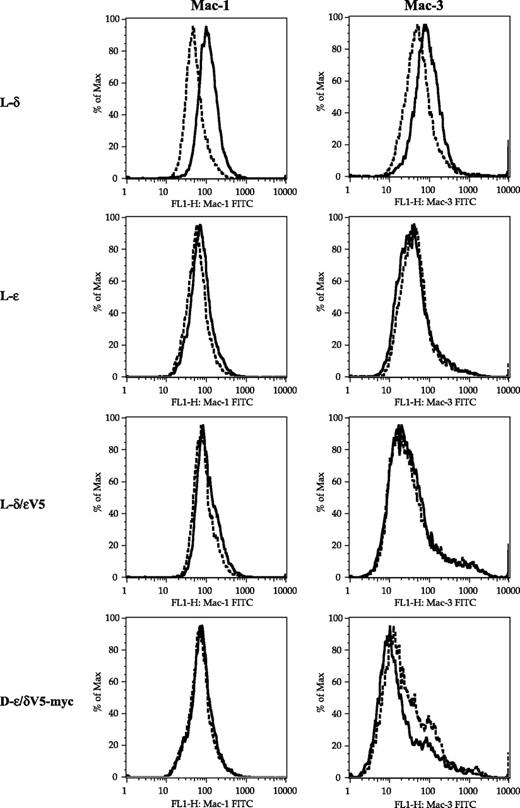 FIGURE 6. Flow cytometry analysis of the macrophage differentiation makers (Mac-1 and Mac-3) on wild-type and chimera overexpressers. Cells were treated with or without 10 ng/ml PMA for 10 h and stained with FITC-labeled antibodies against Mac-1 and Mac-3. Dashed lines, peaks for the specific Mac-1 or Mac-3 fluorescence with no PMA treatment; solid lines, peaks for the fluorescence intensity after PMA treatment. The experiment was repeated four times. Data from a representative experiment.