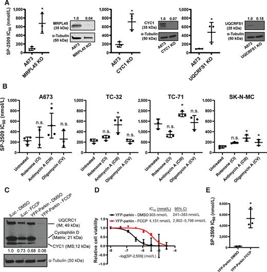Figure 2. Validation of CRISPR screen through genetic KO, chemical inhibition, and mitochondrial depletion. A, Compiled SP-2509 IC50 data and western blot images for monoclonal KO cells; mitochondrial ribosomal protein L45 (MRPL45 KO), Ubiquinone-Cytochrome C Reductase, Rieske Iron-Sulfur Polypeptide 1 (UQCRFS1 KO), Cytochrome C1 (CYC1 KO). Compiled data are from n = 3 independent experiments. Statistical analysis was performed by using a Student t test. Data that reached a significance P value of ≤0.05 are denoted with *. Densitometry values are indicated for each protein band and are quantified as previously described in the Materials and Methods. B, Compiled SP-2509 IC50 data for simultaneous treatment of indicated cell lines with SP-2509 and ETC inhibitors, rotenone (CI), antimycin A (CIII), or oligomycin (CV). Compiled data are from n = 3 independent experiments. Statistical analysis was performed by using a Student t test comparing each inhibitor treatment with the untreated cell lines, with * denoting a significance (P value) of ≤ 0.05, and values that are not significant denoted as n.s. C, Western blot analysis of mtø cells for mitochondrial proteins using Membrane Integrity WB Antibody Cocktail (Abcam; ab110414). Samples are denoted with A673 cells infected with retroviral constructs for YFP-Parkin and iLuc (mock infection), that were treated with either DMSO or FCCP for 48 hours. Blots for Ubiquinone–cytochrome c reductase core protein 1 (UQCRC1) represents the mitochondrial intermembrane (IM), Cyclophilin D in the mitochondrial matrix, cytochrome C1 (CYC1) in the mitochondrial intermembrane space (IMS), and α-tubulin was used as a loading control. Depletion of these proteins in the YFP-Parkin–FCCP condition indicates depletion of mitochondria from the cells. D, Dose–response curve comparing A673 cells expressing YFP-Parkin either treated with DMSO or FCCP. E, Compiled SP-2509 IC50 data for mtø cells. Compiled data are from n = 3 independent experiments. Statistical analysis was performed by using a Student t test comparing each inhibitor treatment with the untreated cell lines, with * denoting a significance (P value) of ≤ 0.05.
