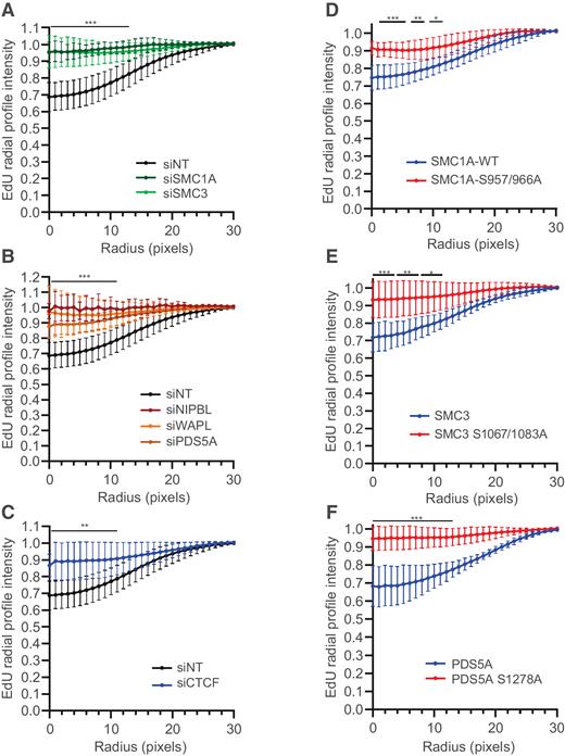 Figure 6. ATM phosphorylation of cohesin is required for repression of DNA replication within the vicinity of a DSB. A–C, U2OS Fok1 reporter cells were transfected with non-targeting (NT), SMC1A, SMC3, NIPBL, WAPL, PDS5A, and CTCF siRNAs before induction of DSBs and labeling with EdU. E and F, U2OS Fok1 reporter cells were transfected with (E) SMC1A or SMC1A S957/966, (F) SMC3 or SMC3 S1083A, and (D) PDS5A or PDS5A S1278A before induction of DSBs and labeling with EdU. For A–E, the relative radial profile plots of EdU, staining intensity from the center of Fok1 foci is shown. Graphs depict the quantification of three different experiments in which at least 30 cells were imaged per condition per experiment. Statistical significance was determined by Kruskal–Wallis test with a Dunn's post hoc analysis. *, P < 0.05; **, P < 0.01; ***, P < 0.001.