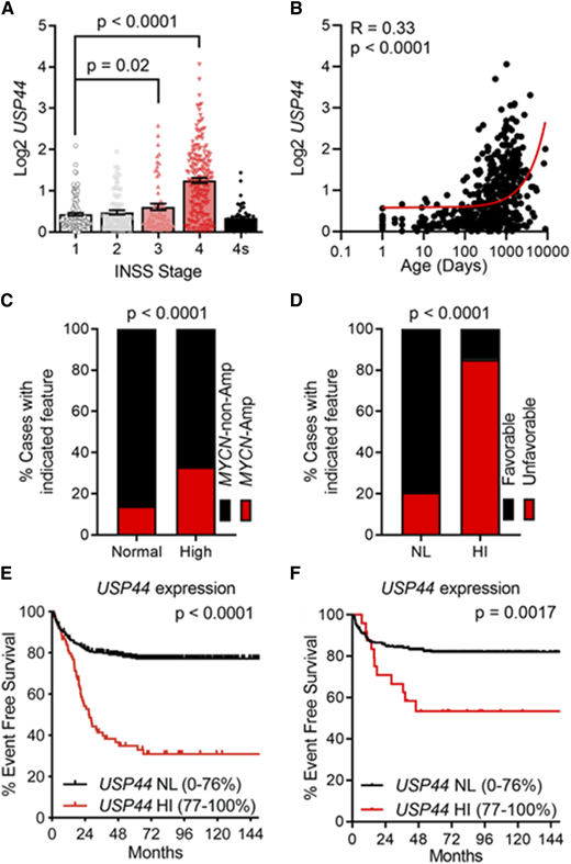High levels of USP44 correlate with established poor prognostic features in neuroblastoma. A, The graph represents the mean ± SEM for patients in the SEQC dataset classified by the International Neuroblastoma Staging System (INSS) stage. The P-values shown were calculated using an unpaired two-tailed t test. B, The graph shows the level of USP44 plotted against age at diagnosis for the SEQC cohort. The Pearson correlation (R-value) and P-value were calculated in GraphPad Prism. The (red) line indicates the trend calculated using a simple linear regression function in Prism. C and D, Histograms showing the proportions of patients with tumors having MYCN amplification (C) or unfavorable histology (D) stratified by USP44 expression. E and F, Event-free survival for patients with normal or high levels of USP44 in the SEQC dataset whose tumors lacked MYCN amplification (E) or those stratified as non-high-risk (F). High USP44 defined as >76 percentile.