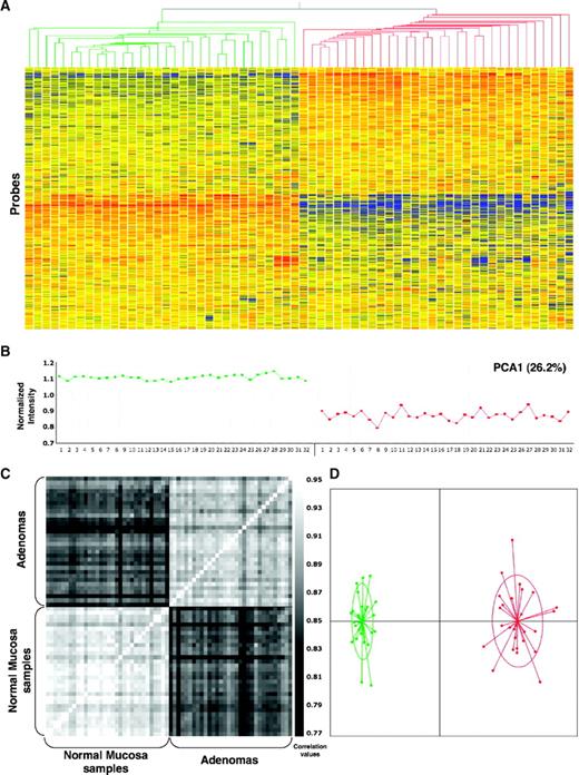 FIGURE 1. Unsupervised analyses of microarray data. A. Hierarchical clustering analysis. The 64 tissue samples represented on the X axis include 32 normal mucosal samples (green branches) and 32 adenomas (red branches). Each probe plotted on the Y axis is color coded to indicate the level of expression of the gene relative to its median expression level across the entire tissue sample set (blue, low; red, high). In the adenoma dendrogram, branches representing individual samples and small groups merge at higher levels than those of the normal mucosa dendrogram, reflecting lower-level correlation (i.e., higher variability among the adenoma specimens). B. PCA. Profile plot of the normalized first principal component (PCA1) across the 64 specimens (green dots, normal mucosa; red dots, adenomas). The two tissue groups differ significantly in terms of PCA1 (P < 0.0001), which accounted for 26% of the total variance. Note the higher variability of the PCA1 values in the adenoma group (higher fluctuation). C. Correlation analysis. Tile plot visualization of the pairwise correlations of the samples. Correlation values are indicated on the grayscale column (white > black: high > low). High correlation is observed among the samples within each group (top right quadrant, adenomas; bottom left quadrant, normal mucosa), although the adenomas displayed somewhat greater diversity (i.e., on the whole, the gray tones in the top right quadrant are darker than those in the bottom left quadrant). Top left and bottom right quadrants, normal and adenoma samples are poorly correlated. However, samples from the same patient generally showed higher correlation than that observed between normal and adenoma samples from different patients (bright pixels on the secondary diagonals in the top left and bottom right quadrants). This finding probably reflects the strong influence of several factors, including the individual genetic background and lifestyle and the fact that the normal and adenomatous tissues from a given patient were from the same colon segment. D. CA of mRNA log(intensity) values of expressed genes from 27 of the 32 tissue pairs (green dots, normal mucosa; red dots, adenoma). The other five pairs were excluded from this analysis because one of the two samples behaved as an outlier. Limiting our analysis to the more homogeneous pairs facilitated the comparison of the gene expression profiles for the two tissue groups and allowed more reliable identification of clinical/pathologic variables associated with profile scatter (see Fig. 2). The areas delimited by the ellipses represent 95% of the estimated binormal distribution of the sample scores on the first and second CA axes. The map of the sample scores on the first two axes shows that CA efficiently discriminates between normal and adenoma samples. Higher variability is evident in the adenoma group, where the samples are more widely dispersed.