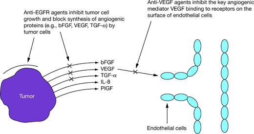 The Role of VEGF and EGFR Inhibition: Implications for Combining Anti ...