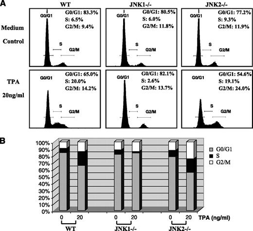 FIGURE 7. JNK1, but not JNK2, was critical for TPA-induced cell cycle progression. A. WT, JNK1−/−, and JNK2−/− MEFs were seeded into each well of six-well plates and cultured in 10% FBS-DMEM at 37°C. After the cell density reached 80% to 90%, the cells were treated with TPA for 24 h and collected for flow cytometry assay. B. The graphic presentation of cell cycle progression.