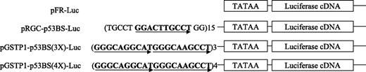 FIGURE 2. Wild-type p53 activates luciferase reporters driven by the GSTP1 p53-binding motif. Structure of GSTP1 p53-binding motif-containing vectors.