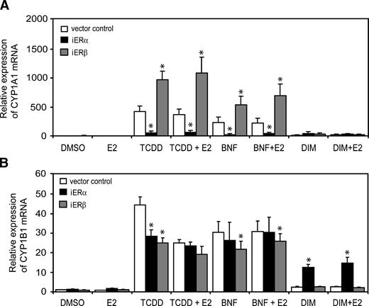FIGURE 4. ERα or ERβ knockdown differentially modulates AHR-dependent transcription in HC11 cells. HC11 mouse mammary epithelial cells stably expressing shRNA targeted against ERα, ERβ, or vector control were treated with 10 nmol/L TCDD, 1 μmol/L BNF, 10 μmol/L DIM, or solvent control (DMSO) in the presence or absence of 10 nmol/L E2 for 24 h, after which mRNA was extracted and analyzed by quantitative real-time PCR for CYP1A1 (A) and CYP1B1 (B). *, P < 0.05, between ER-knockdown and vector control.