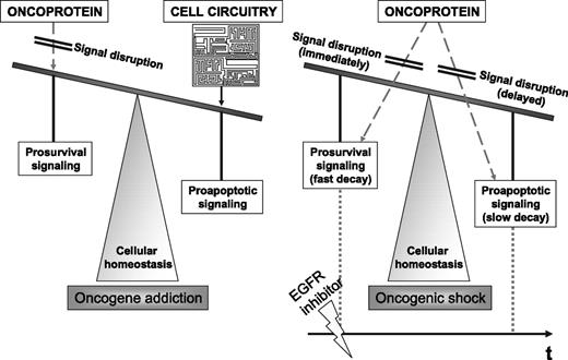 FIGURE 2. Oncogene addiction versus oncogenic shock. Disruption of specific oncogene signaling changes cancer cell homeostasis, shifting the balance toward proapoptotic signaling and subsequent cell cycle arrest or apoptosis. The addiction model postulates cellular reprogramming as a prerequisite for dependency on an oncogene. Cell death is caused by independent proapoptotic effectors from the cell circuitry. In contrast, the shock model hypothesizes that the oncogene's residual proapoptotic signaling suddenly predominates because of longer half-life of its constituents leading to apoptosis.