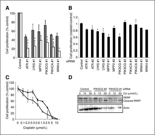 Figure 4. Kinases involved in cell proliferation and chemoresistance. A, the graph shows siRNA-mediated effects in DAOY cell proliferation in the presence (0.5 μmol/L; white bars) and absence (grey bars) of cisplatin for those kinases that scored positive in both screens. B, the graph shows siRNA-mediated effects on UW-228 cell proliferation in the presence of cisplatin (2.0 μmol/L) for those kinases that scored positive in both screens. The ratio of cell proliferation of cells treated with cisplatin to vehicle-treated cells is presented. C, RNAi-mediated targeting of PIK3CG led to sensitization of DAOY cells to cisplatin treatment (siRNA control: black circles; siRNA PIK3CG: white circles). D, RNAi-mediated targeting of PIK3CG enhanced cisplatin-induced apoptosis, as measured by Western blotting analysis of PARP cleavage. * P < 0.05, cisplatin-treated sample compared with control.