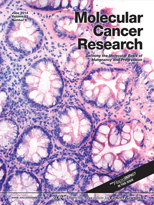 Dual Promoter Usage as Regulatory Mechanism of let-7c Expression in ...