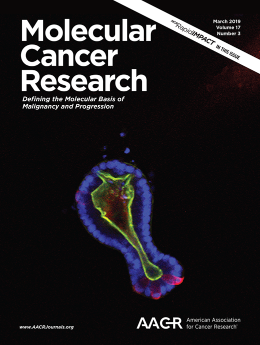 Molecular Cancer Research Cover Image for Volume 17, Issue 3