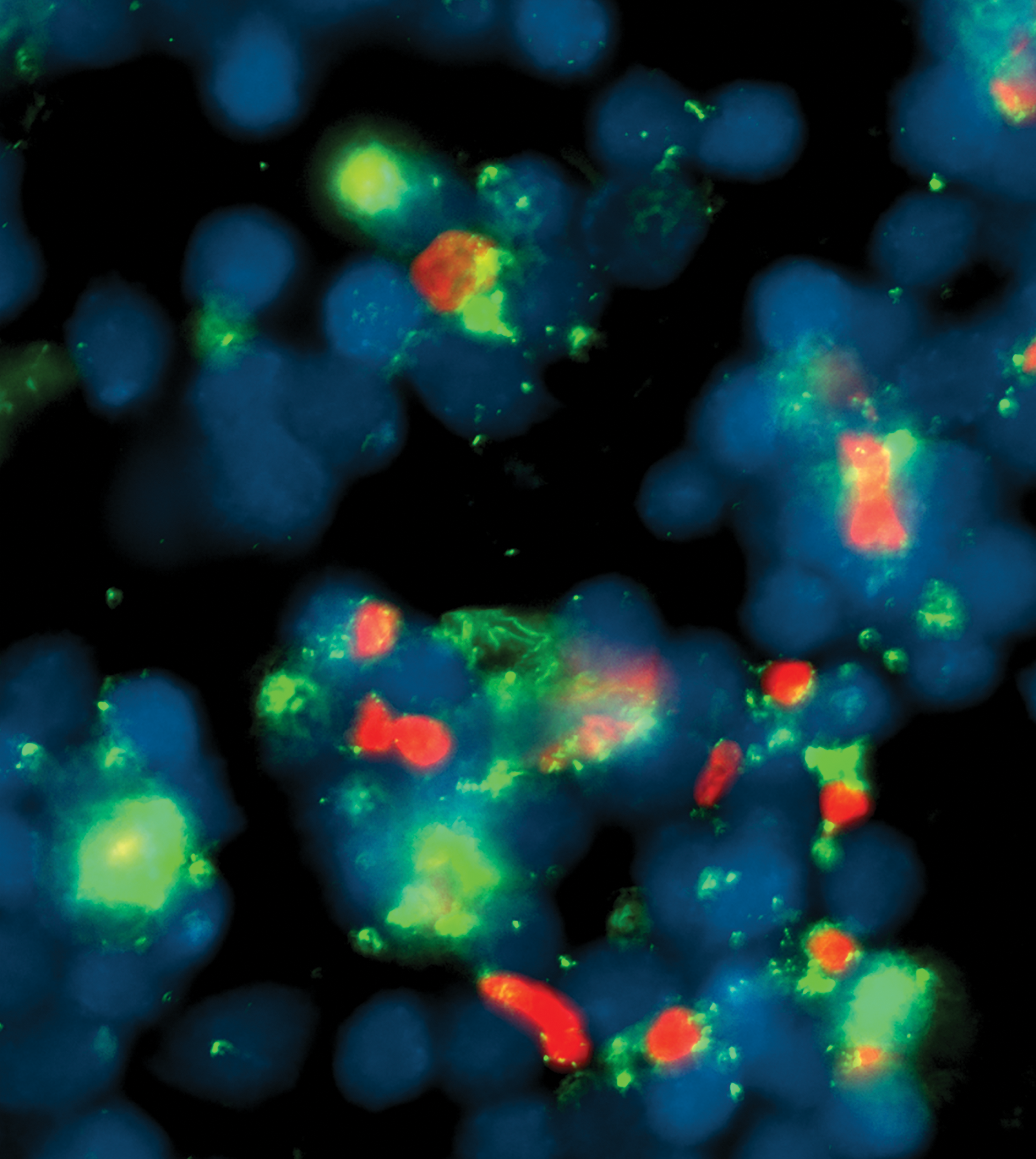 Issue cover image
