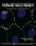 Molecular Cancer Research Cover Image for Volume 2, Issue 12