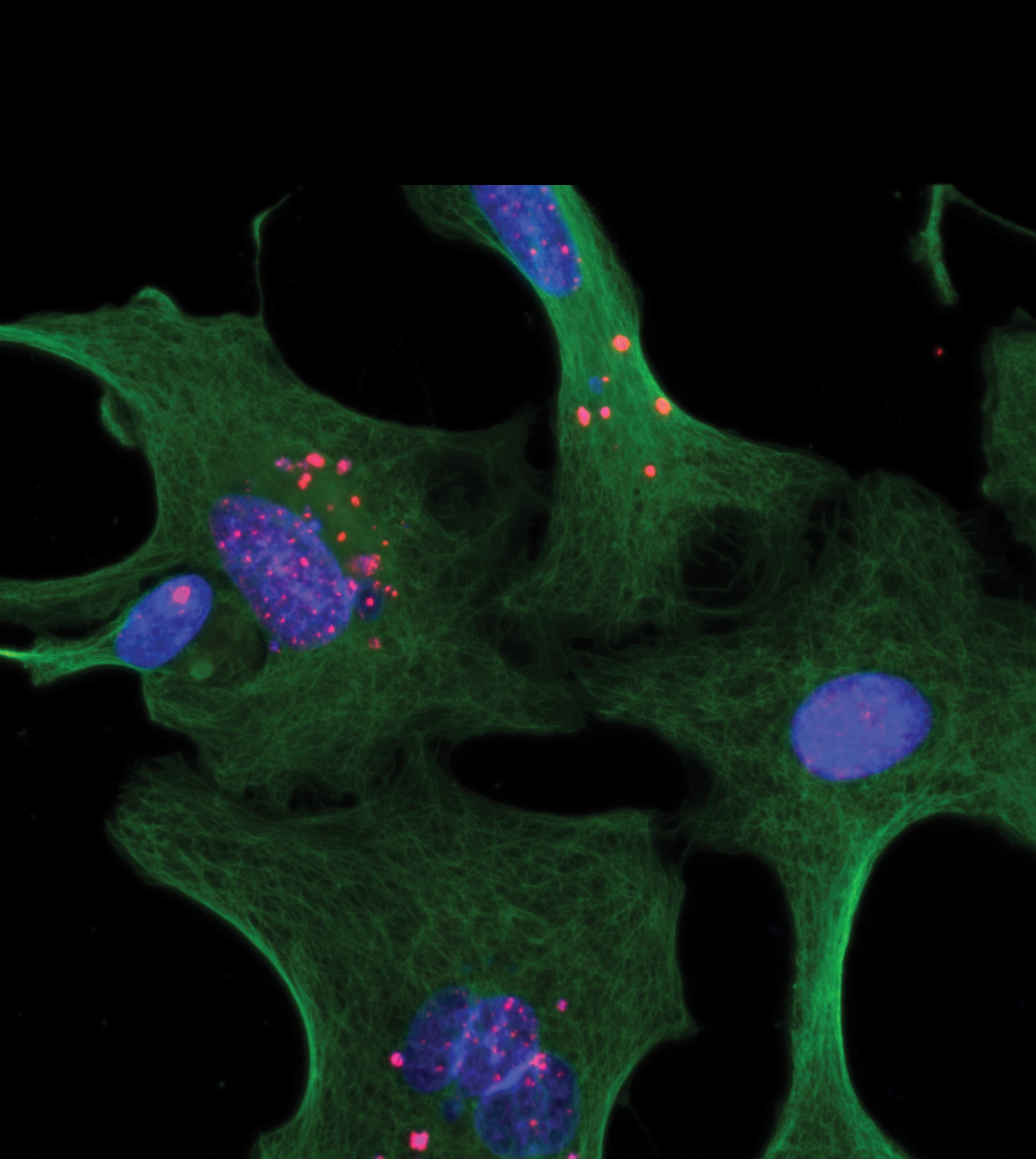 Issue cover image