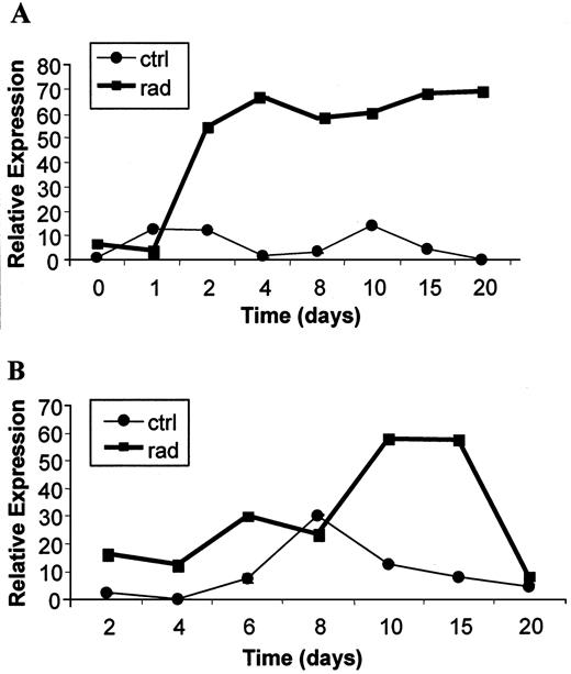 Fig. 3. TP expression in irradiated and shielded U87MG glioma xenografts in mice. A, as shown above, TP mRNA levels increased ∼70-fold in irradiated tumors relative to nonirradiated tumors in control mice, remaining elevated 20 days after irradiation. B, of particular interest, TP mRNA levels in the shielded tumors (in the same animal) increased ∼60-fold (relative to initial control levels) 10 and 15 days after irradiation before dropping to control levels at 20 days. Error bars have been incorporated into this figure but are so small as to be obscured by the data point.