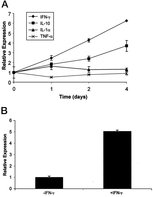 Fig. 5. A, effect of irradiation on mRNA expression of 12 cytokines. Cytokine expression in irradiated tumors (days 0–4 after irradiation) was determined for 12 cytokines using a TaqMan Cytokine Gene Expression Plate I as described in “Materials and Methods.” As shown above, IFN-γ demonstrated the greatest increase in expression (6.3-fold) followed by IL-10 (3.7-fold) in irradiated xenografts relative to control xenografts at 4 days after irradiation. IL-1α demonstrated a <2-fold increase in expression 24 h after irradiation (1.6-fold), returning to baseline levels 2–4 days after irradiation. TNF-α levels (included in the cytokine plate) did not increase above baseline. IL-2, IL-4, IL-5, and IL-8, which are not shown, did not demonstrate any increases in expression after irradiation. IL-1β, IL-12p35, IL-12p40, and IL-15 mRNA levels were beyond the limits of detection in all of the samples (data not shown). B, quantitation of TP in U87MG glioma cells without (−) and with (+) IFN-γ. TP expression (mRNA levels) increased 5-fold in the U87MG glioma cells treated with IFN-γ (+) as compared with untreated cells (−), suggesting a direct effect of IFN-γ on TP transcription.
