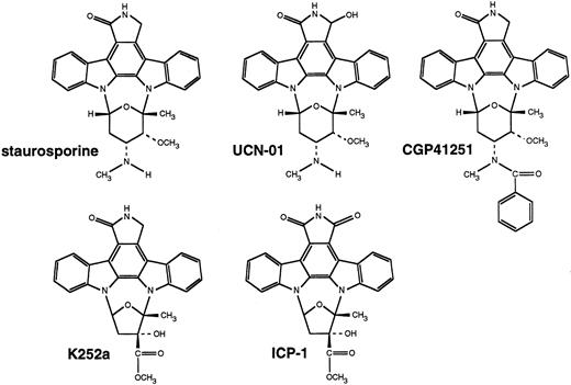 Fig. 1. Structure of the staurosporine analogues discussed in this paper.