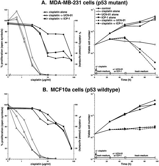 Fig. 3. Inhibition of growth and viability induced by cisplatin in combination with either UCN-01 or ICP-1 in (A) MDA-MB-231 cells and (B) MCF10a cells. Cells were incubated with the indicated concentrations of cisplatin for 2 h, the drug was removed, and the cells were incubated until 24 h. A total of 50 nm UCN-01 or 250 nm ICP-1 was then added for the next 24 h. Cells were washed, and fresh media was added. Left panels: cells were harvested after 5 days and assayed for cell death (right axis) or harvested after 7 days and assayed for DNA content as a measure of proliferation (left axis). Right panels: cells were incubated with or without 10 μg/ml cisplatin for 2 h, then with or without UCN-01 or ICP-1. Viable cell number was assessed at the indicated times.
