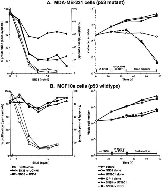 Fig. 6. Inhibition of growth and viability induced by SN38 in combination with either UCN-01 or ICP-1 in (A) MDA-MB-231 cells and (B) MCF10a cells. Cells were incubated with the indicated concentrations of SN38 for 24 h, followed by either 50 nm UCN-01 or 250 nm ICP-1 for the next 24 h. Cells were washed, and fresh media was added. Left panels: cells were harvested after 5 days and assayed for cell death (right axis) or harvested after 7 days and assayed for DNA content as a measure of proliferation (left axis). Right panels: cells were incubated with or without 5 ng/ml SN38 for 24 h, then with or without UCN-01 or ICP-1. Viable cell number was assessed at the indicated times.